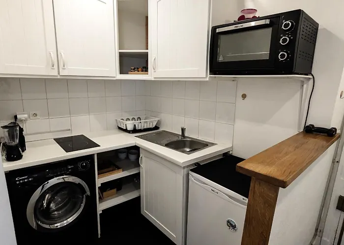 Lumineux Au Pied Du Sacre-coeur Apartman *